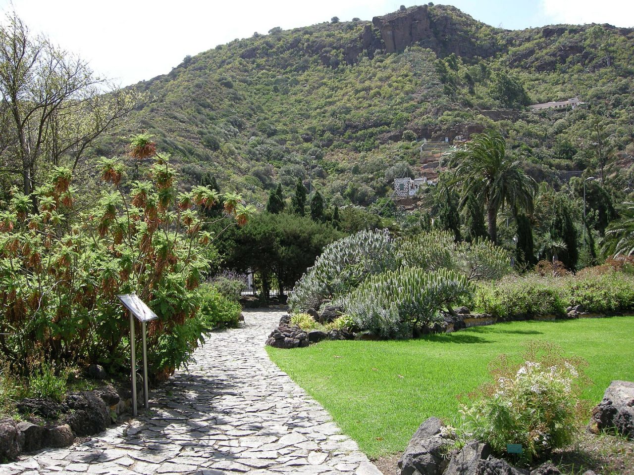 A view of the Jardín Botánico Viera y Clavijo.