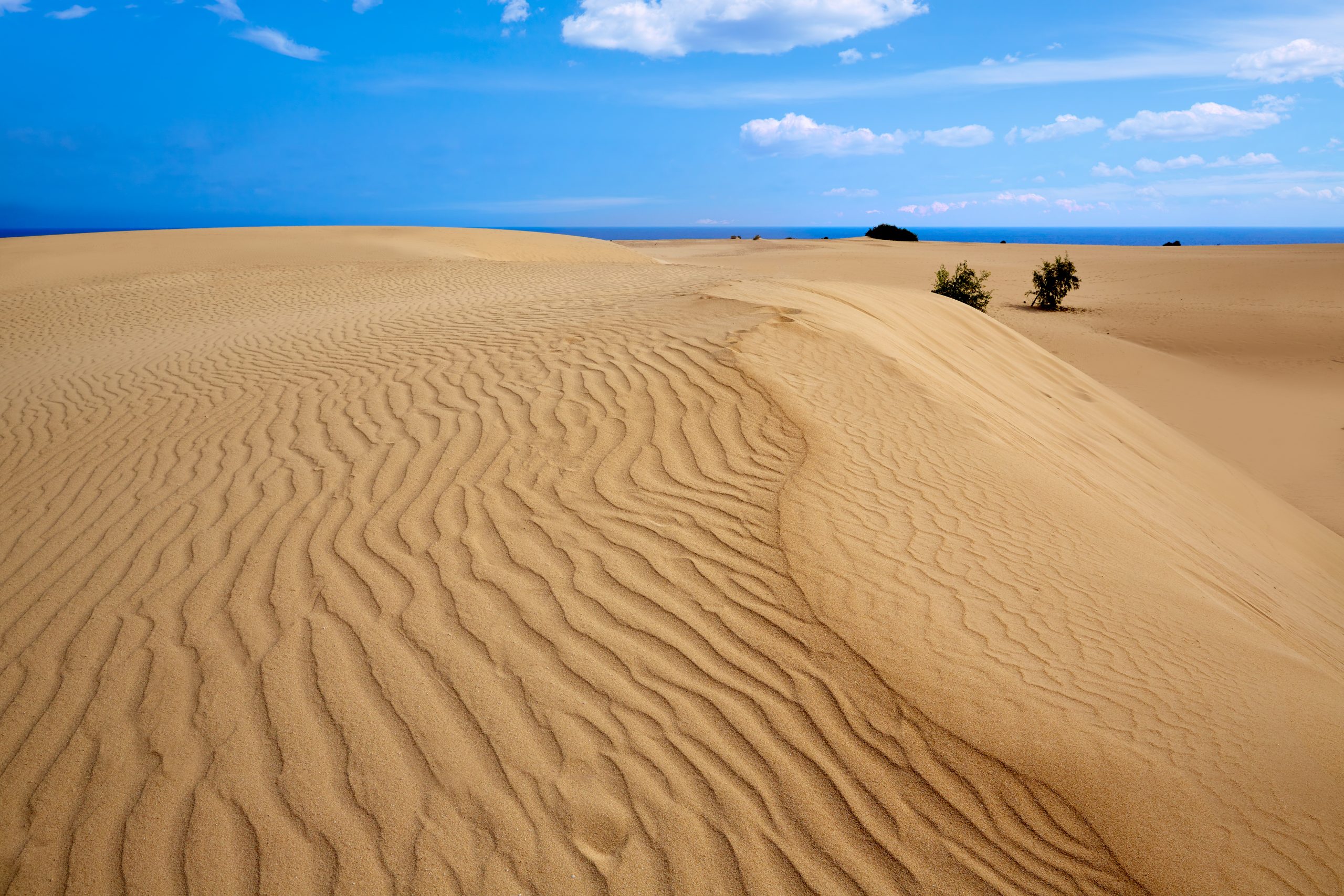 A view from a desert in Fuerteventura.
